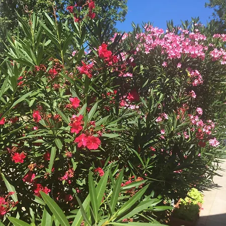 Caline D'hotes Bed & Breakfast 4*